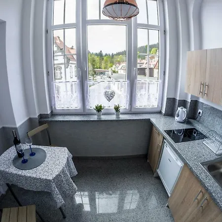 Pod Jedynka - Jednosci Narodowej 3/1 Apartment *